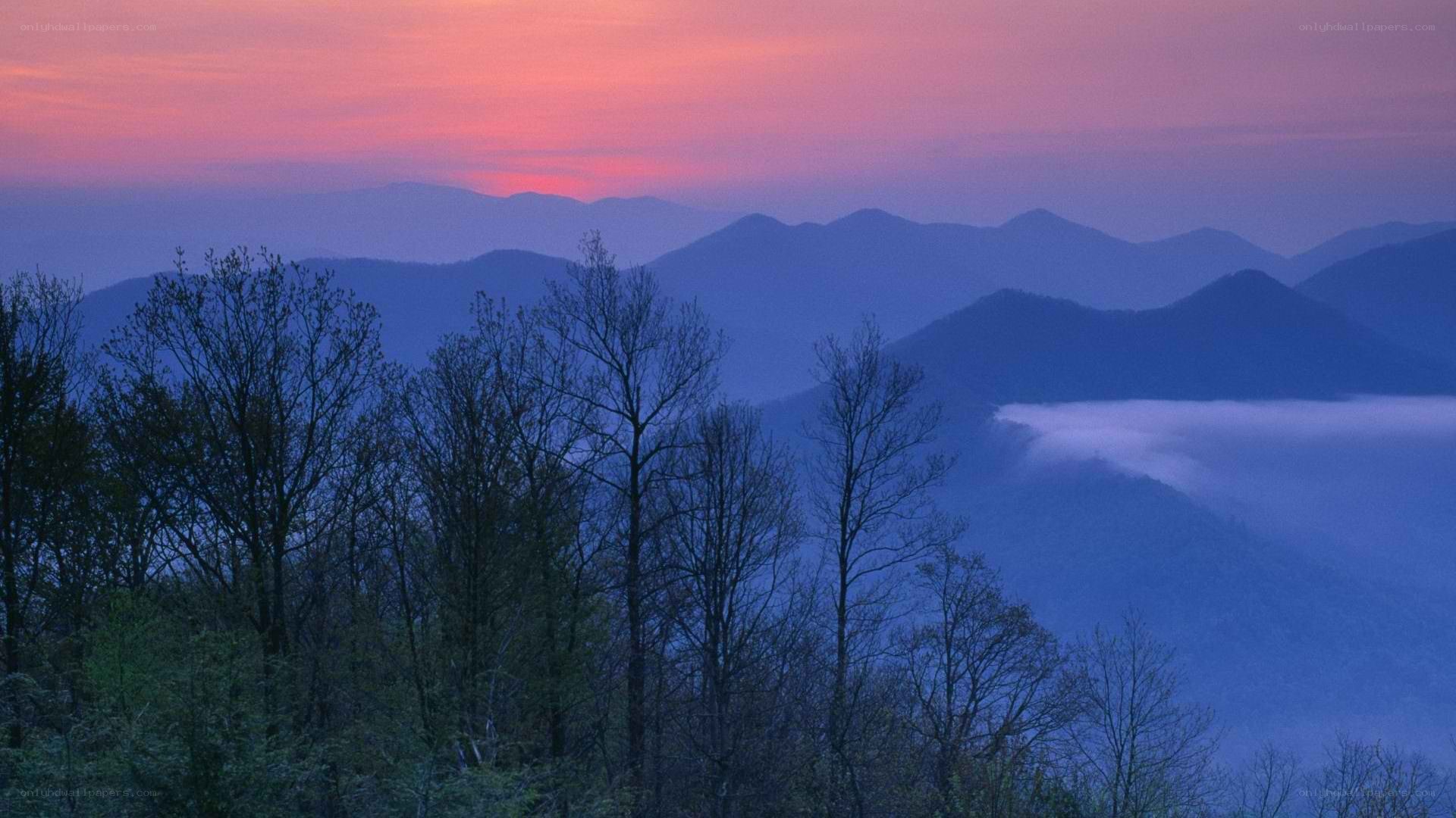 mountain sunset with fog