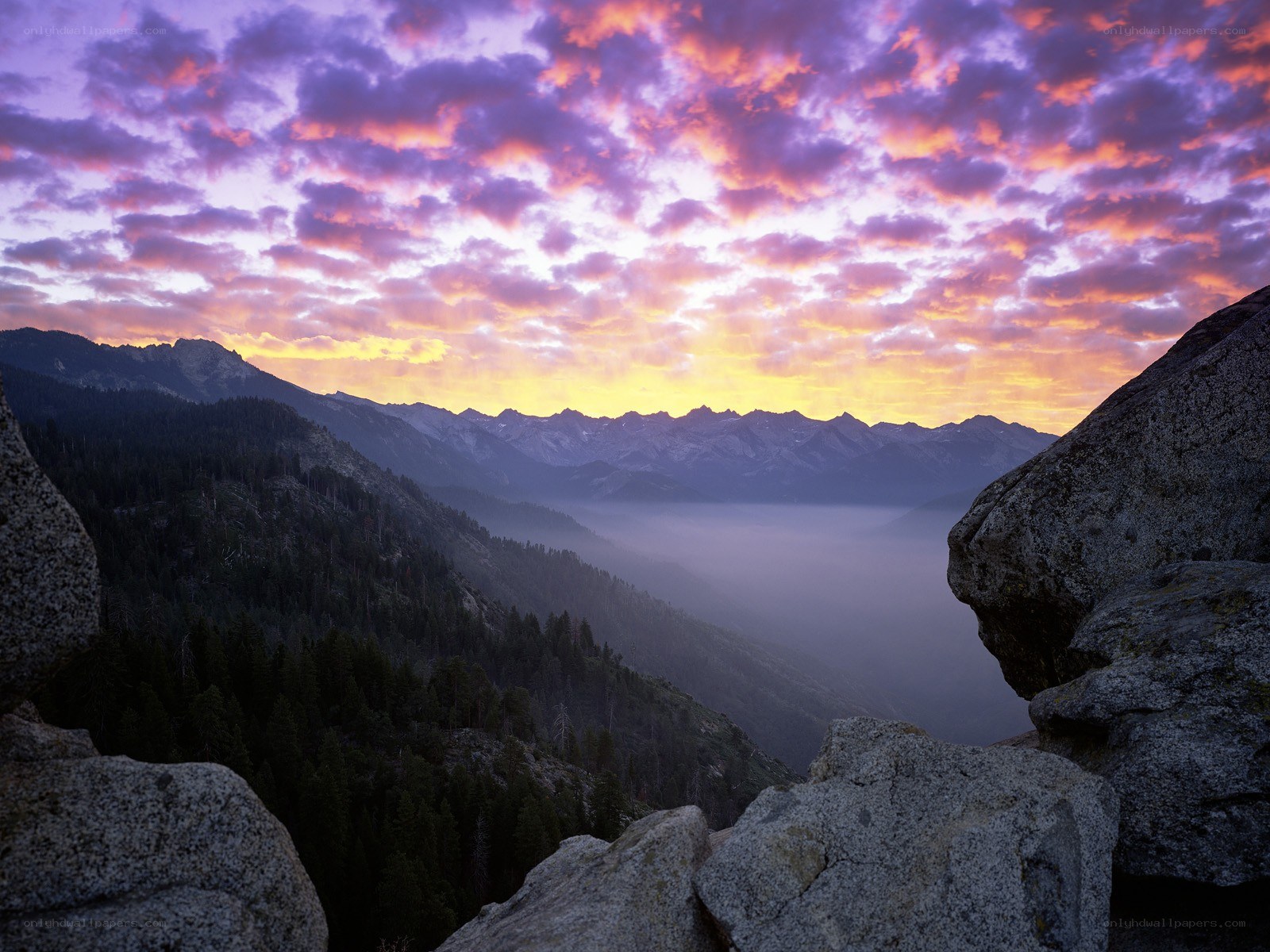 Mountain sunset with fog