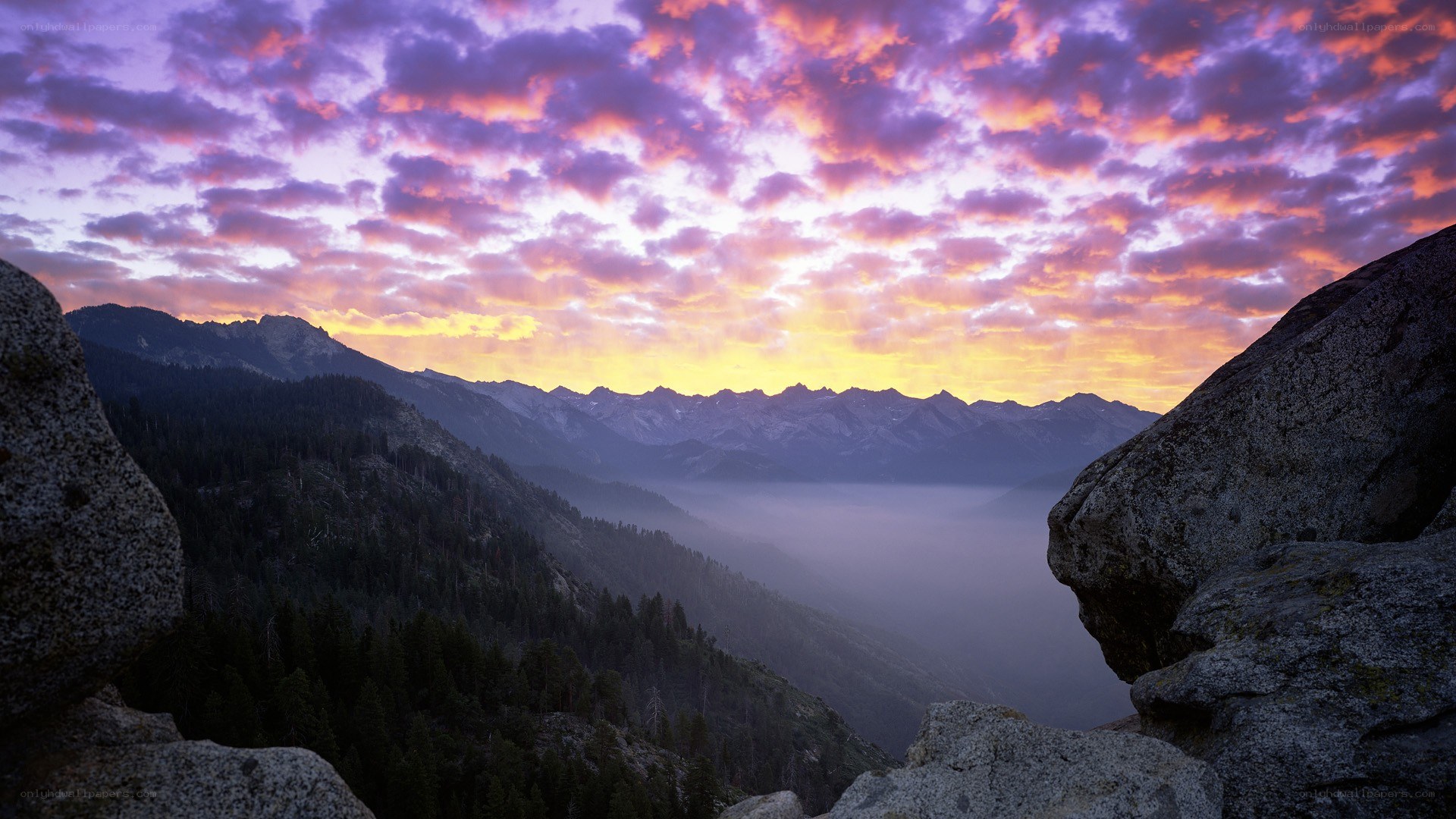 Mountain sunset with fog