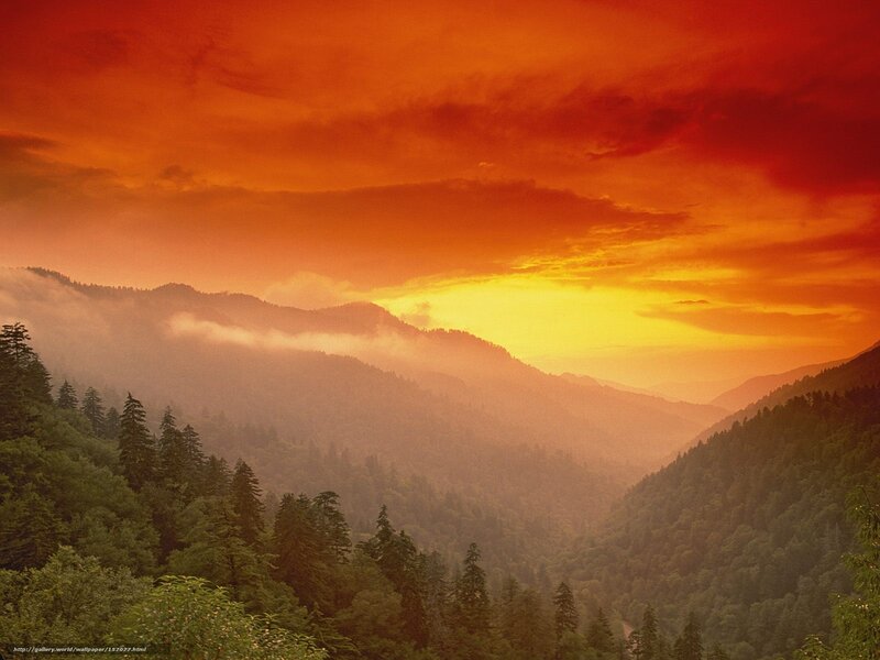 Mountain sunset with fog