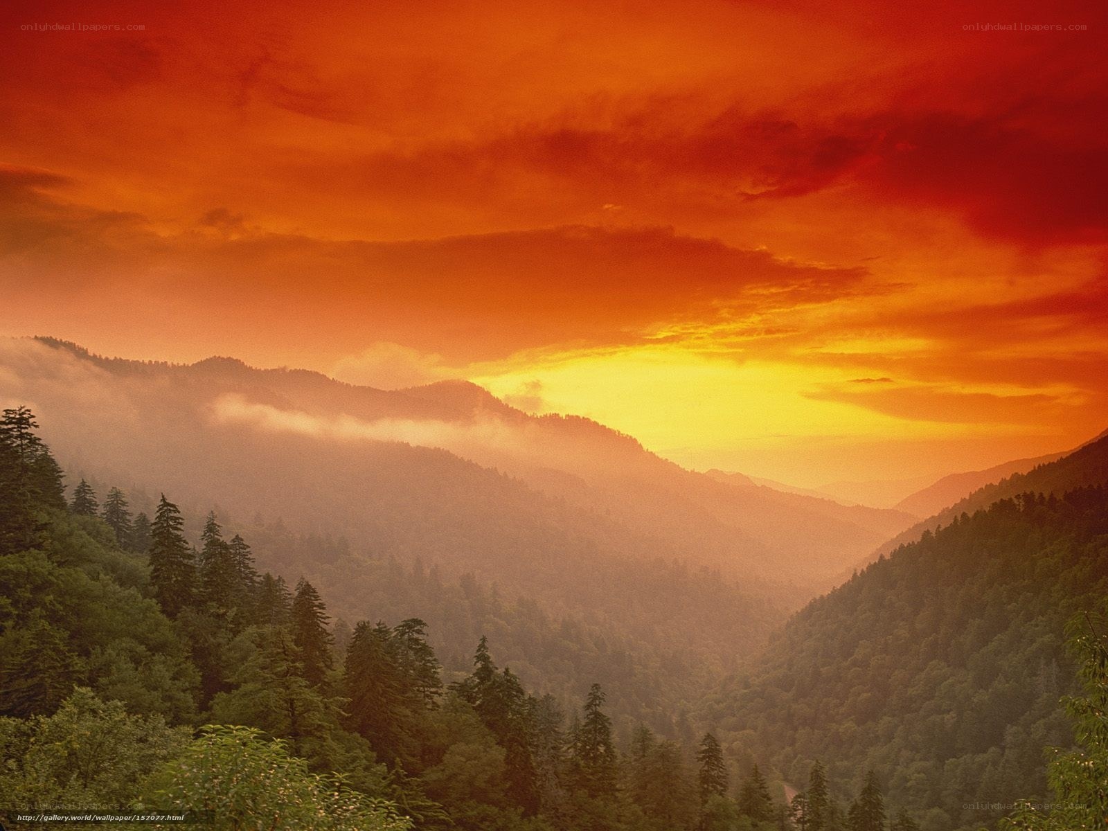 Mountain sunset with fog