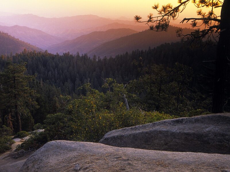mountain sunset with forest view