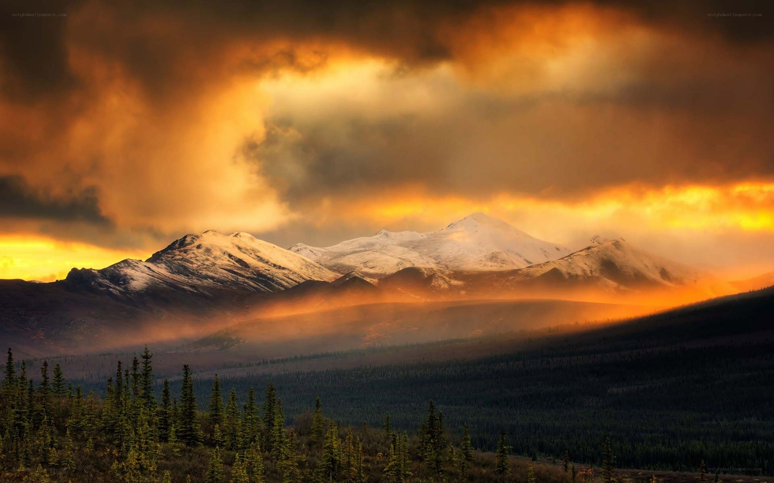 Mountain sunset with forest