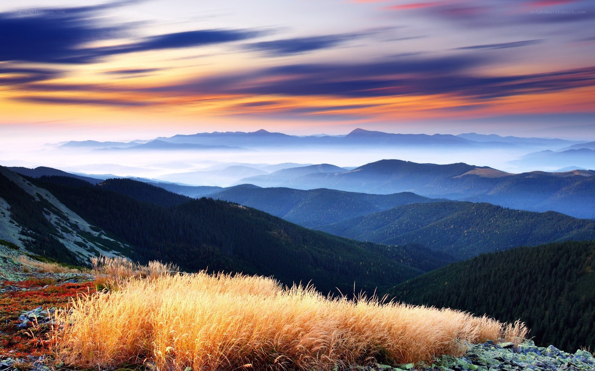 Mountain sunset with golden grass
