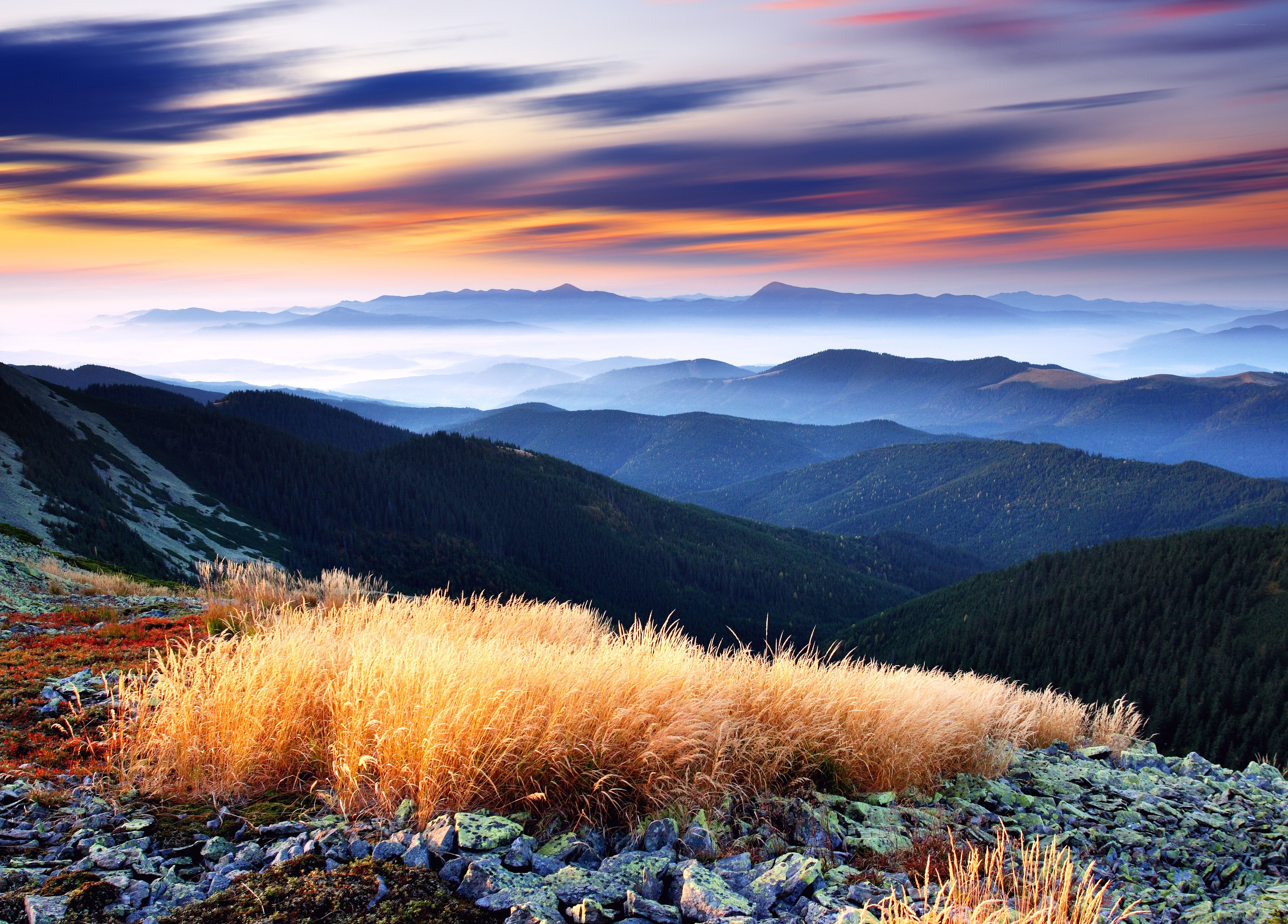Mountain sunset with golden grass