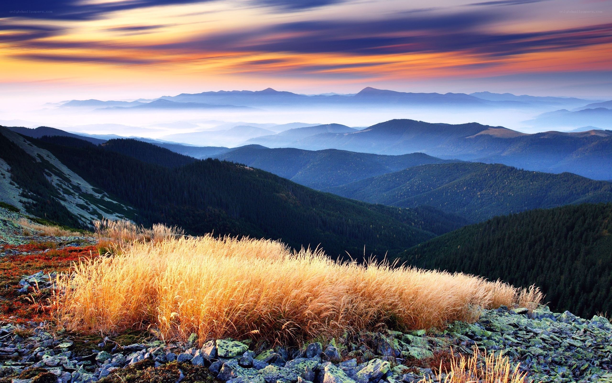 Mountain sunset with golden grass