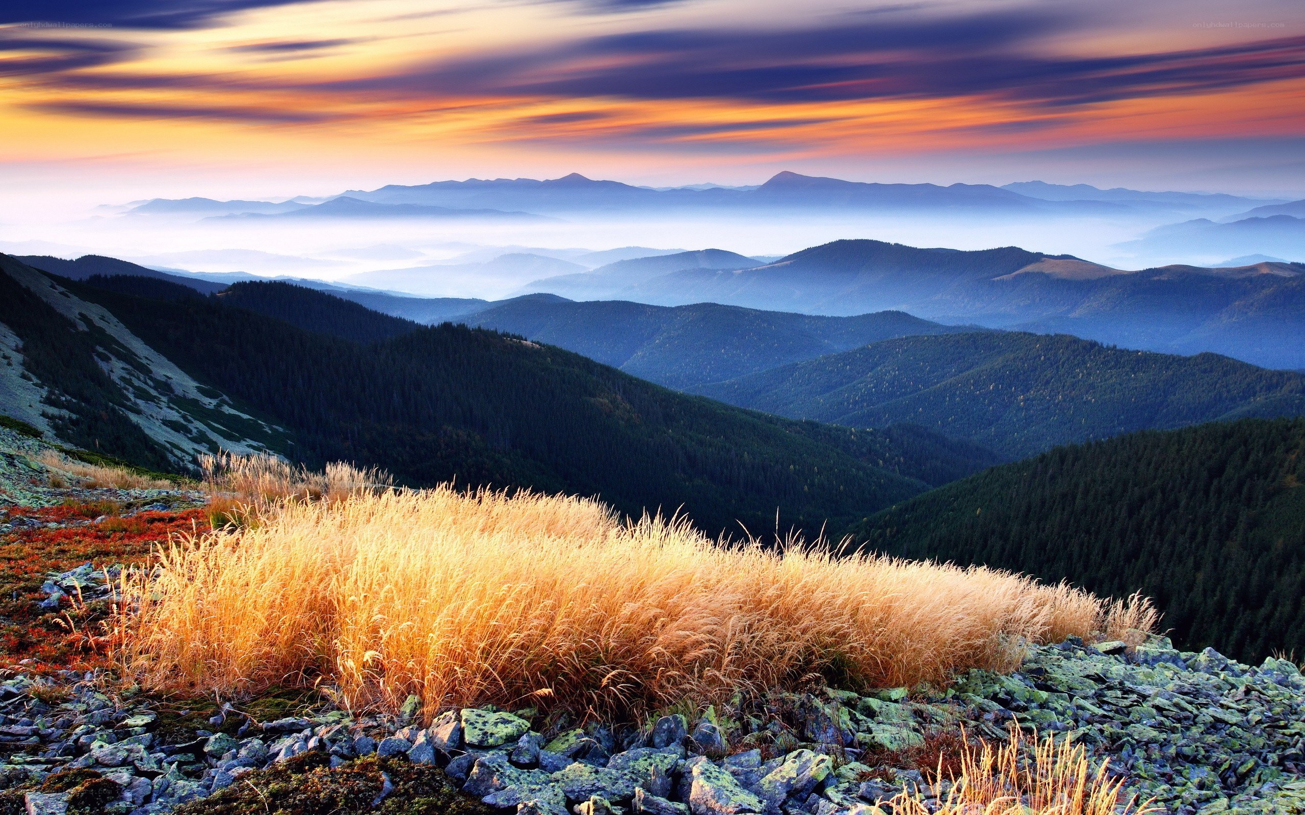 Mountain sunset with golden grass