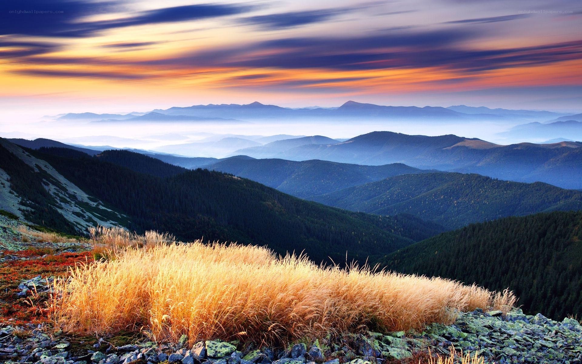 Mountain sunset with golden grass
