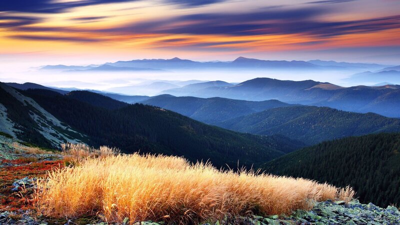 Mountain sunset with golden grass
