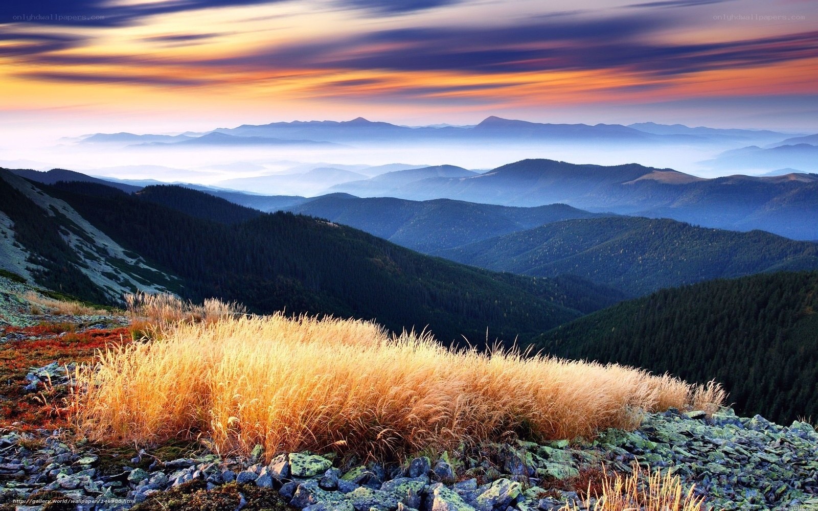 Mountain sunset with golden grass