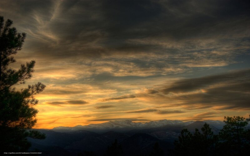 Mountain sunset with pine trees