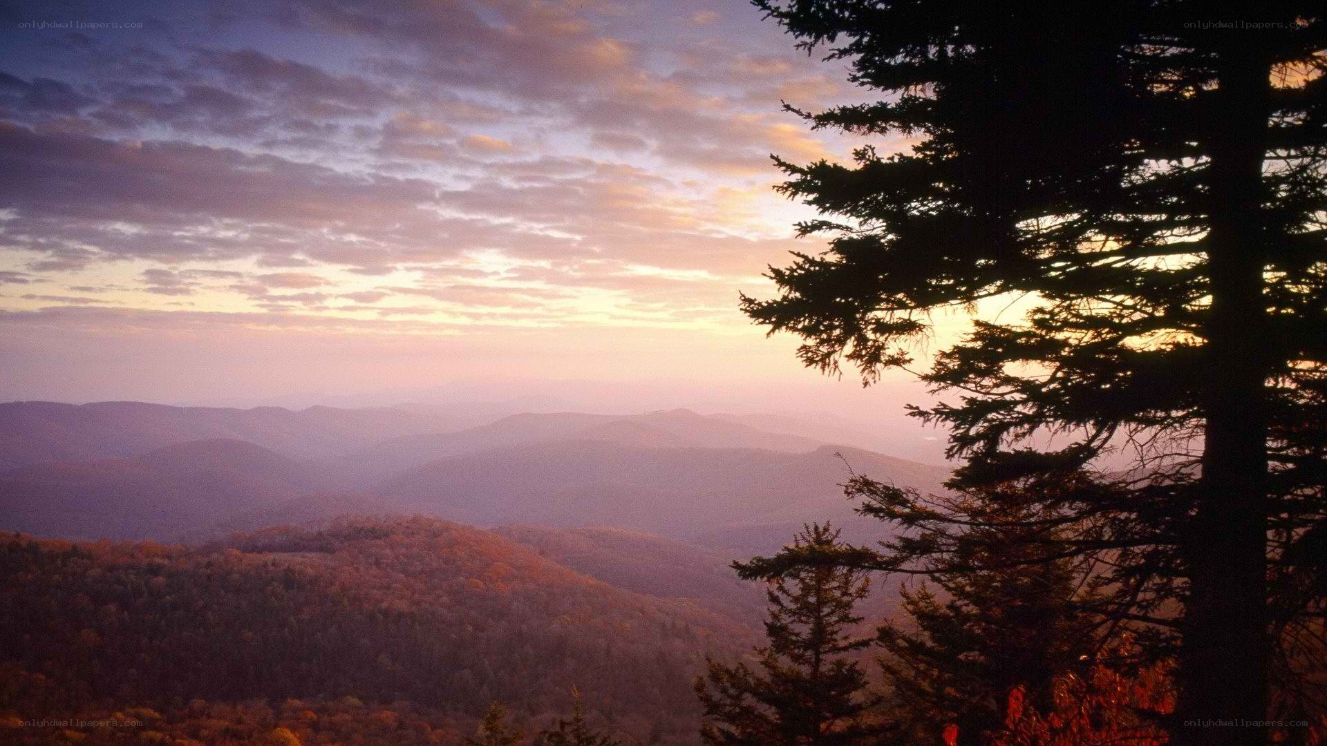 Mountain sunset with trees