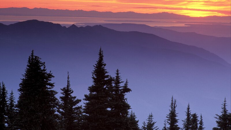 mountain sunset with trees