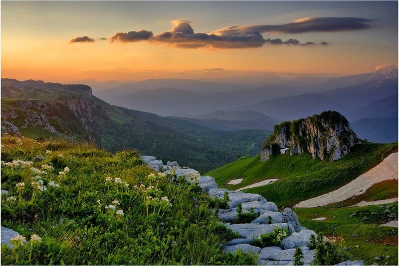 Mountain sunset with wildflowers
