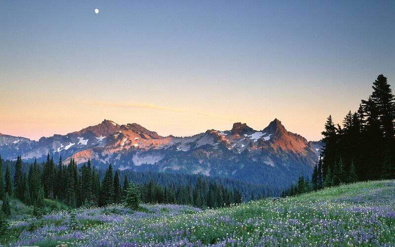 Mountain sunset with wildflowers