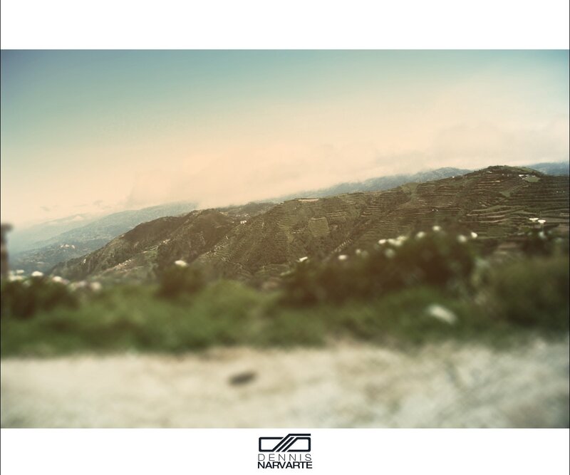 mountain terraces at dawn