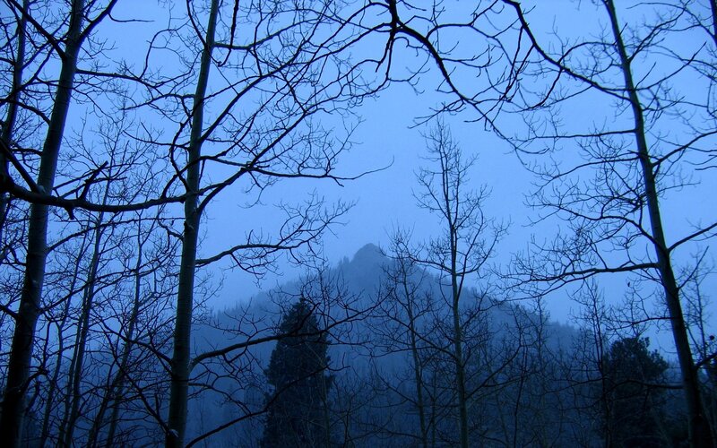 Mountain Through Bare Trees