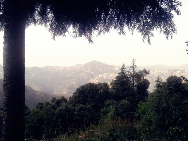 Mountain Town View — Green