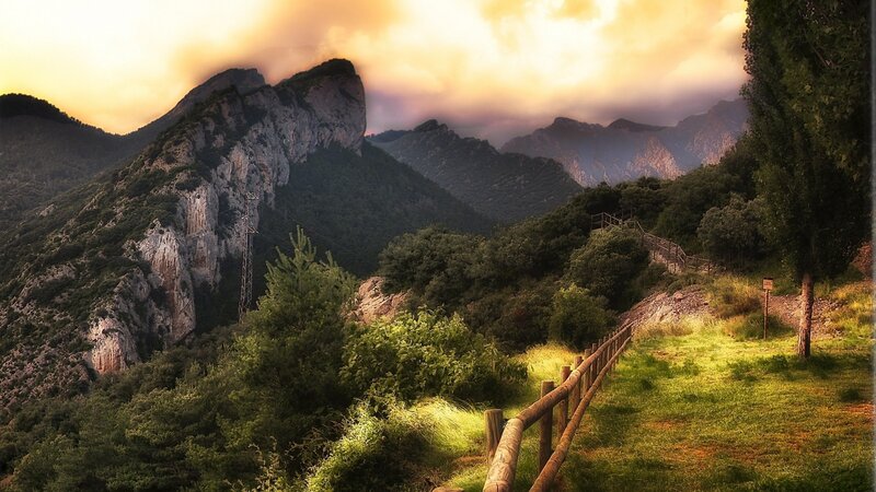Mountain Trail at Sunset — Green