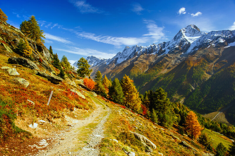 Mountain Trail in Autumn — Blue, Serene