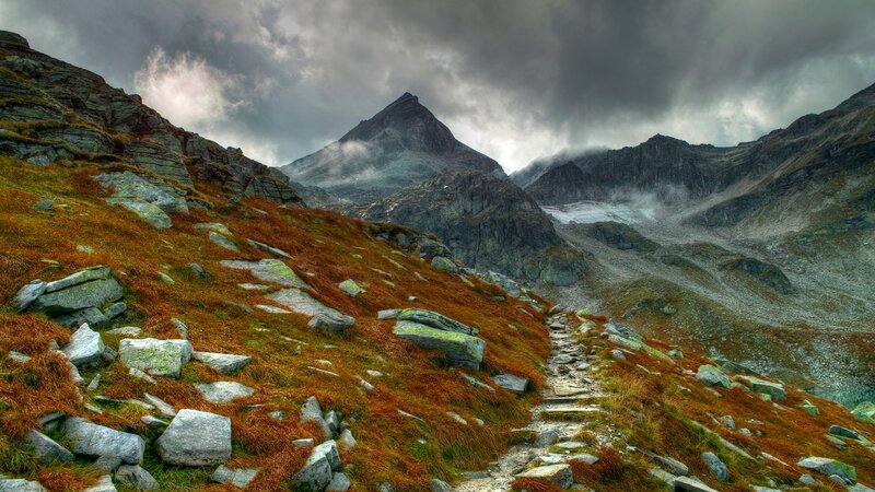 Mountain Trail in Autumn — Brown