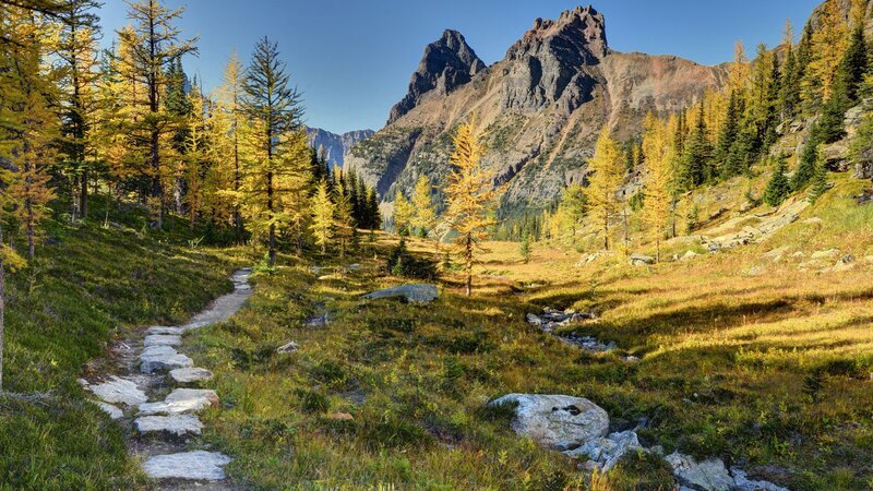 Mountain Trail in Autumn — Green, Serene