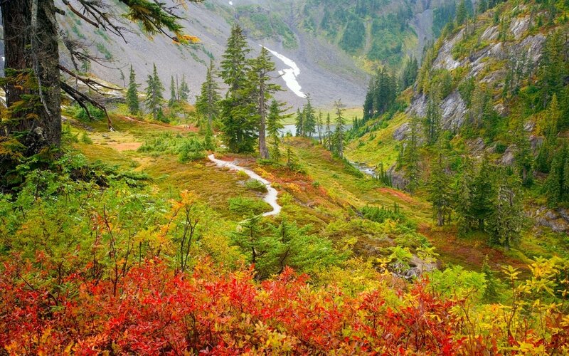 Mountain Trail in Autumn — Green