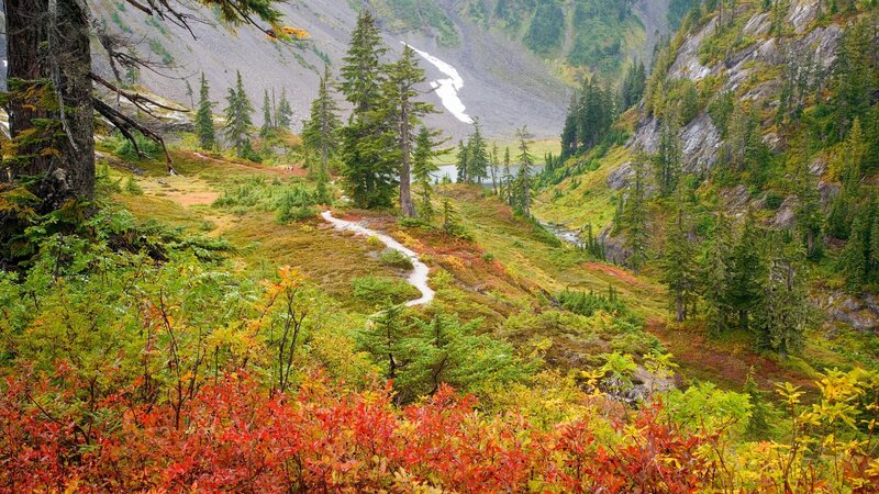 Mountain Trail in Autumn — Red