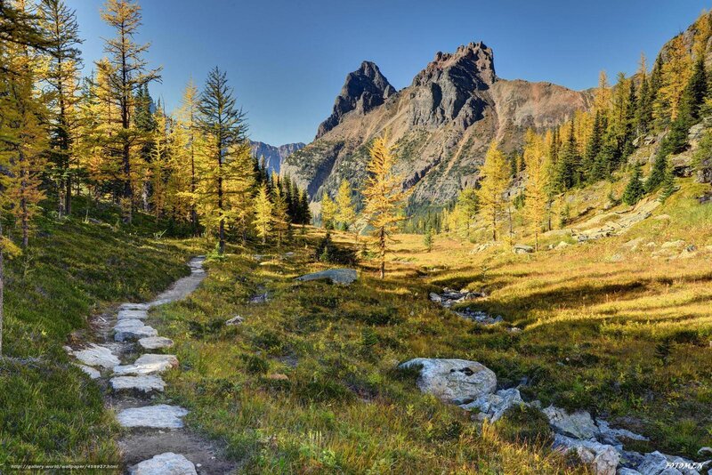 Mountain trail in autumn
