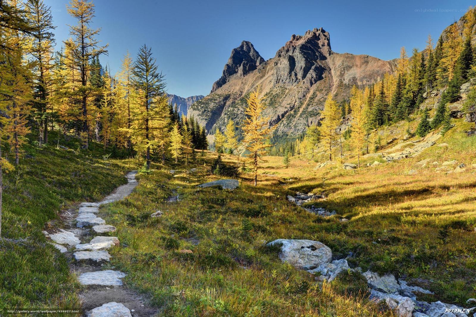 Mountain trail in autumn