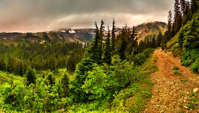 Mountain Trail in Forest — Green, Dramatic