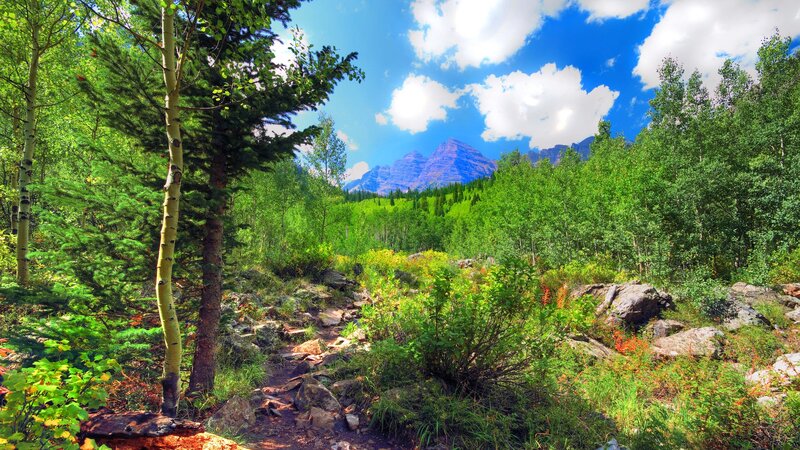 Mountain Trail in Forest — Green, Serene