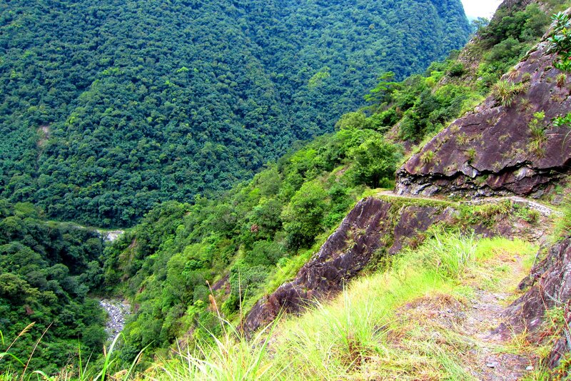 Mountain Trail in Forest — Green