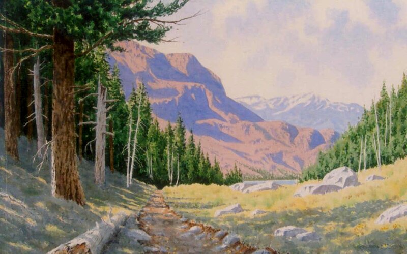 Mountain Trail in Forest