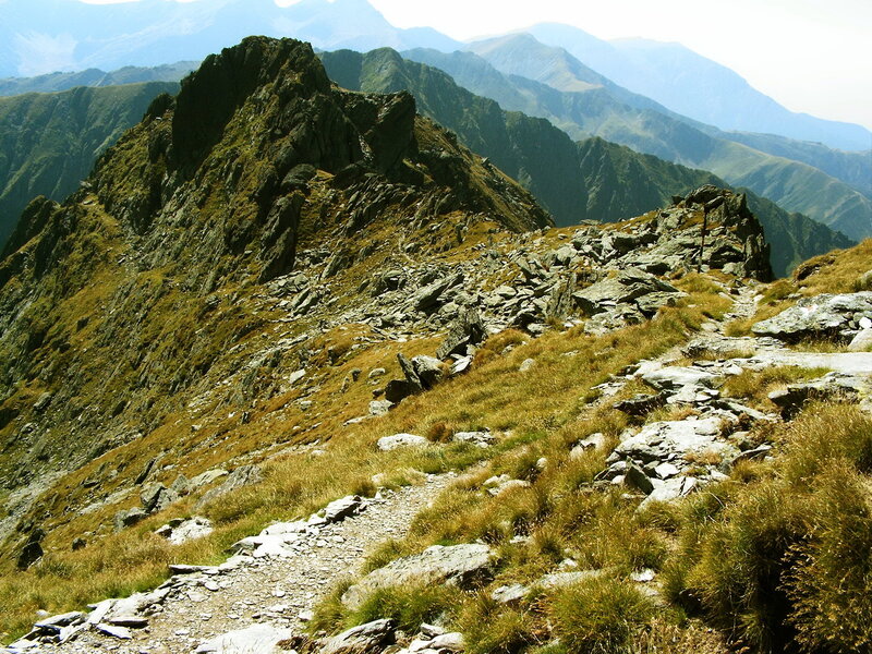 Mountain trail in the Carpathians