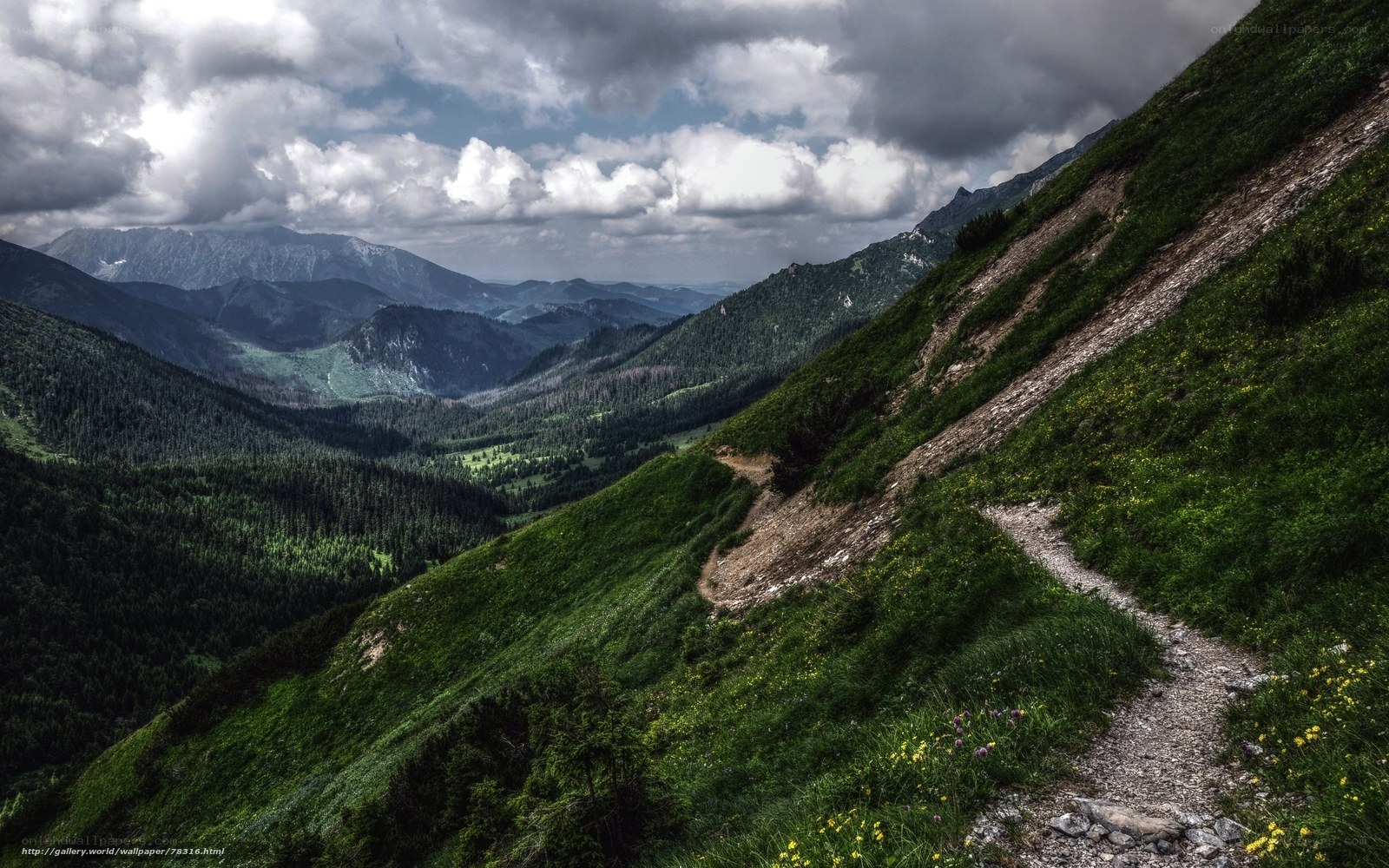Mountain trail in the valley