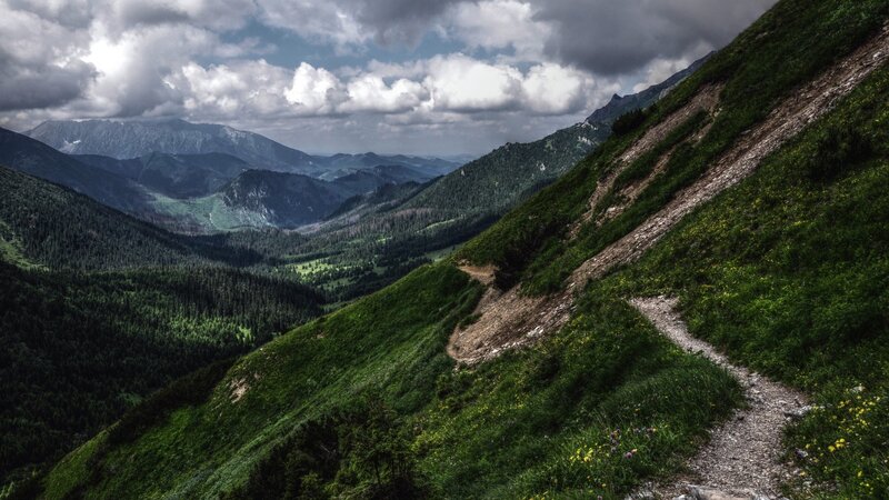 Mountain Trail in Valley — Green, Dramatic, Afternoon, Photograph, Forest