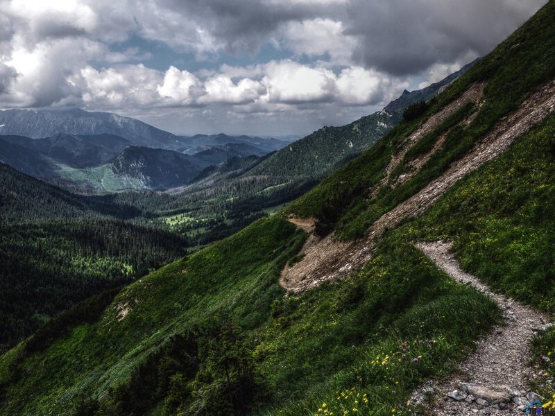 Mountain Trail in Valley — Green, Dramatic, Afternoon