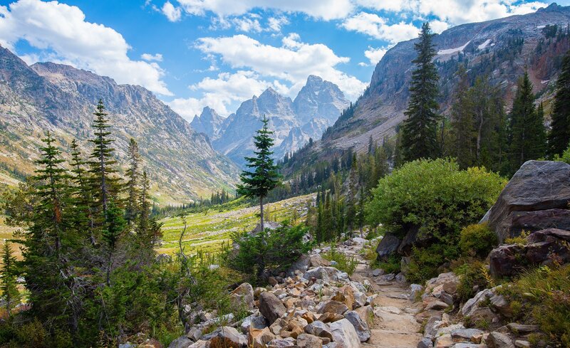 Mountain Trail in Valley — Green, Serene, Summer