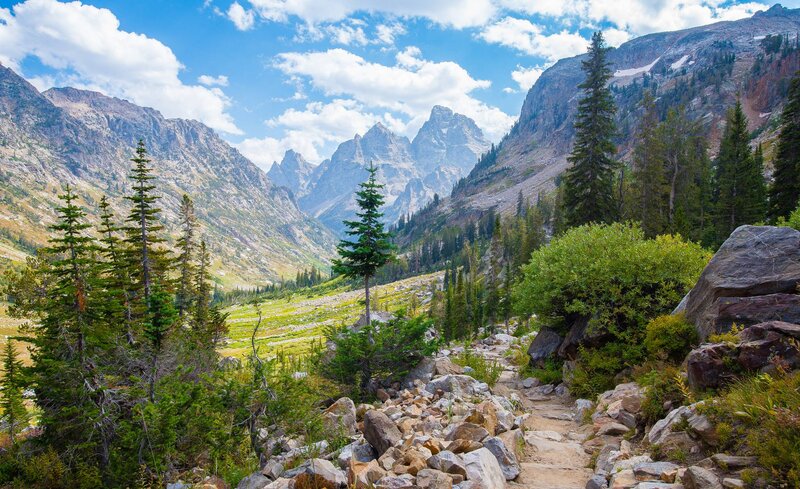 Mountain Trail in Valley — Green, Serene
