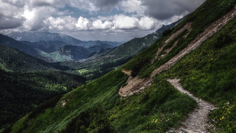 Mountain Trail in Valley — Green