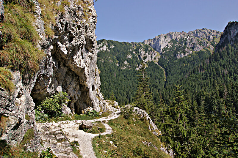 Mountain Trail Path