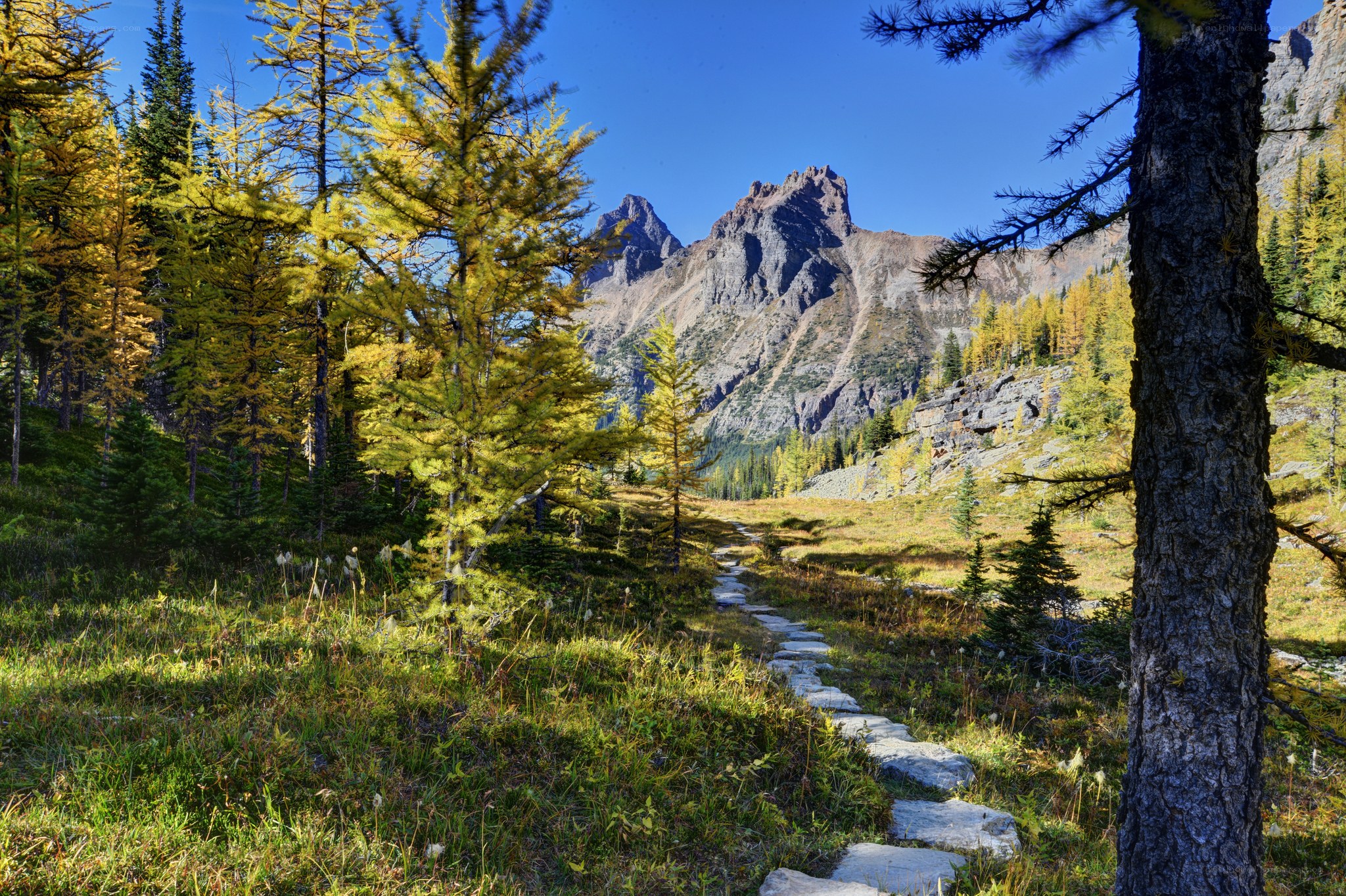 Mountain trail through autumn forest