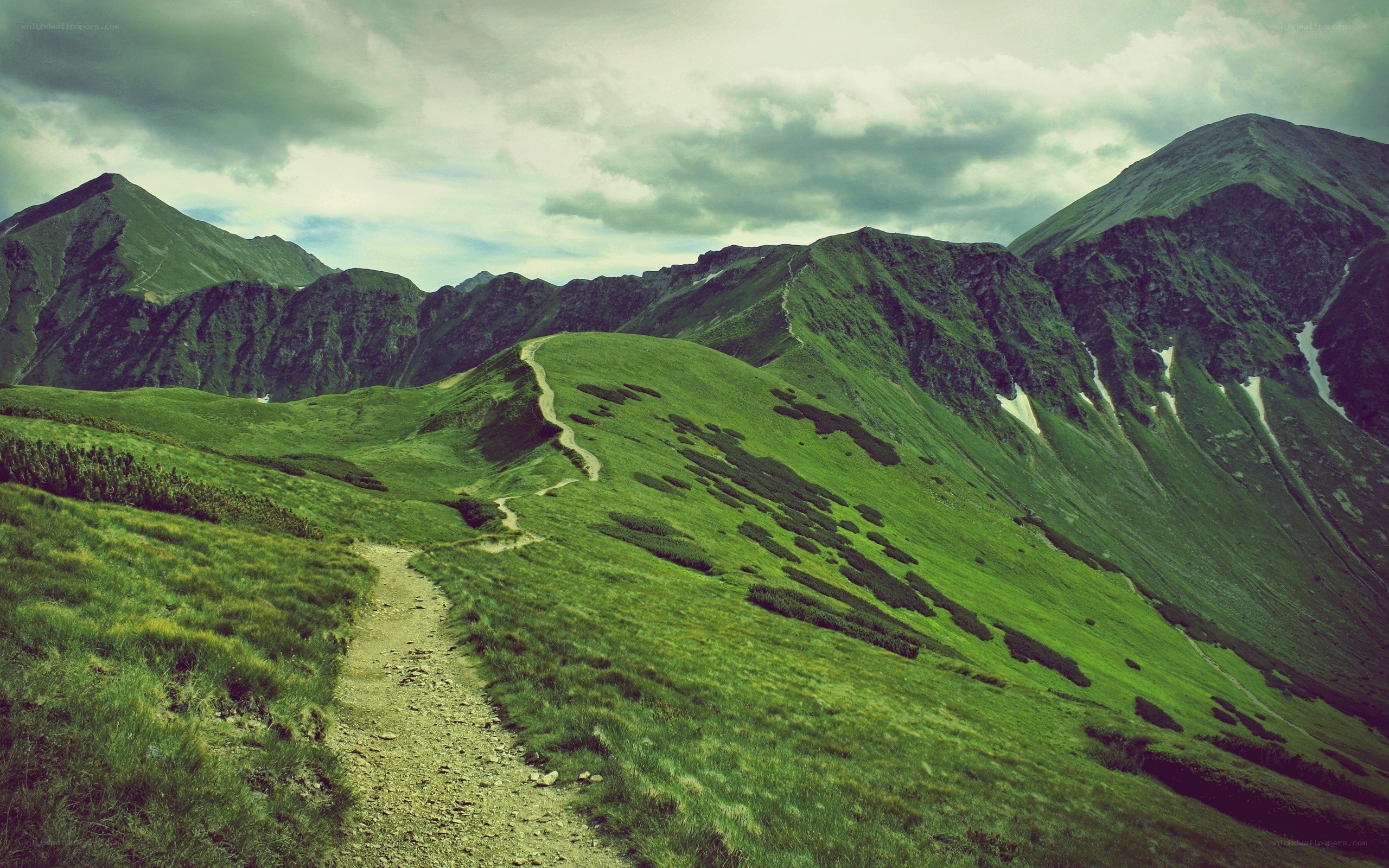 Mountain trail through green hills