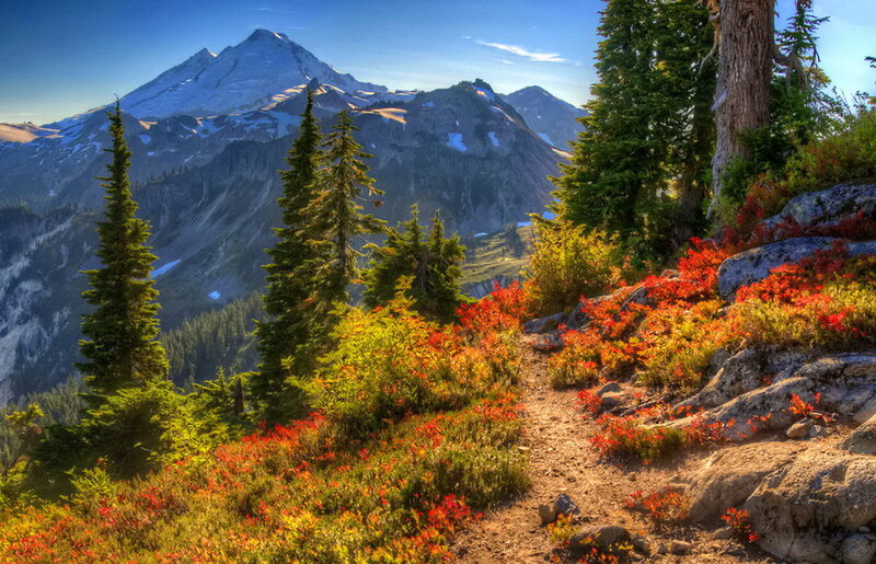 Mountain Trail with Autumn Foliage