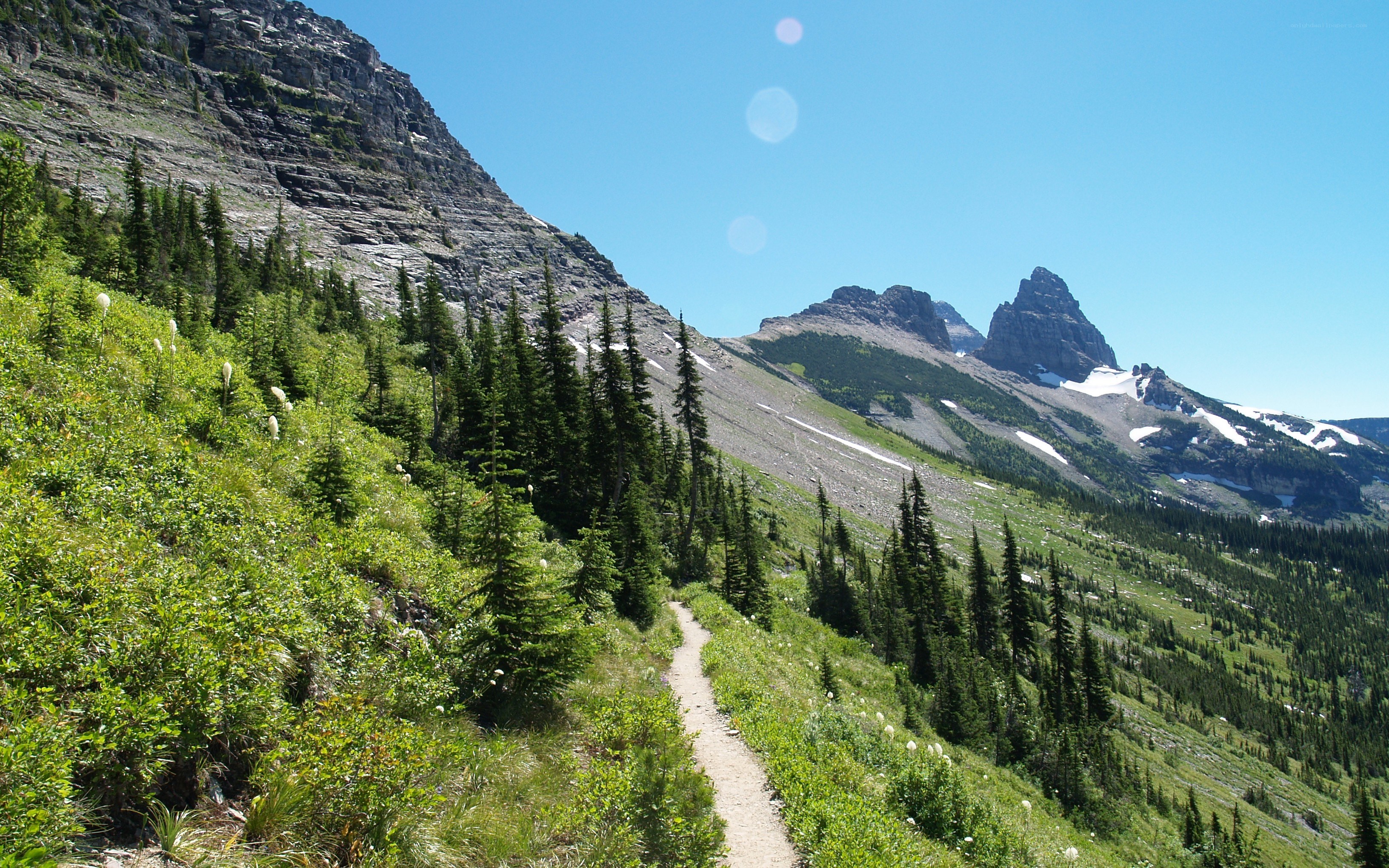 Mountain trail with forest and peaks