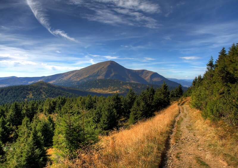 Mountain Trail with Forest