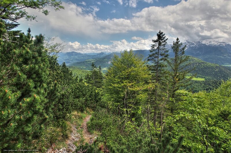 Mountain trail with forest view