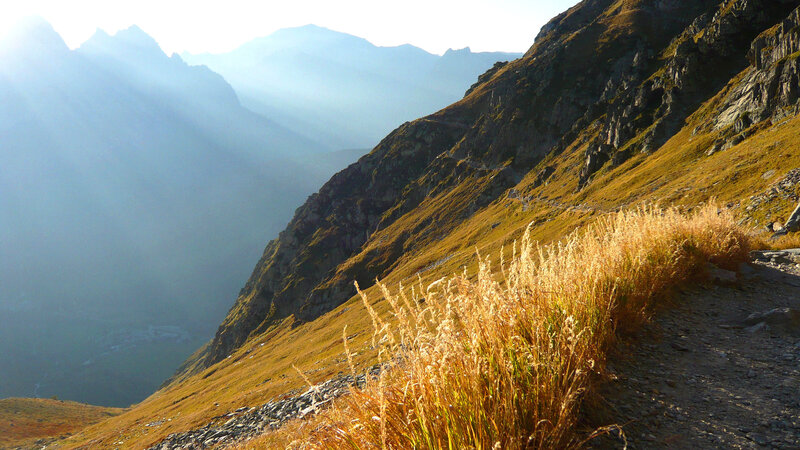 Mountain Trail with Grass