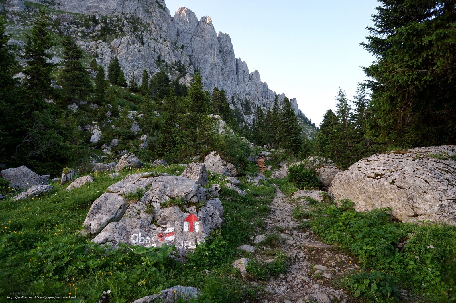 Mountain trail with painted sign